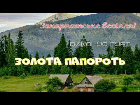 Видео: Закарпатський увиванець. Закарпатські коломийки. Закарпатське весілля. Золота папороть. Карпати