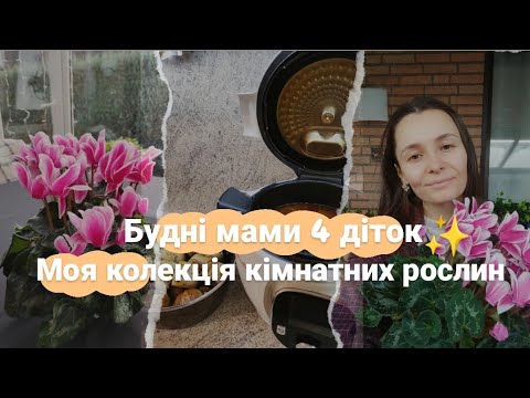 Видео: Як я полегшила свій побут з 4 дітьми🐝Рослина яка КВІТНЕ БЕЗПЕРЕРВНО до 15 років🌺