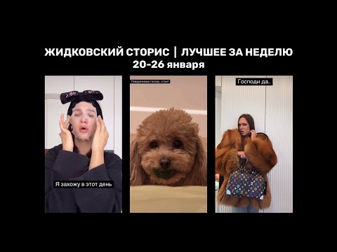 Видео: Жидковский сторис. Лучшее за неделю. 20-26 января