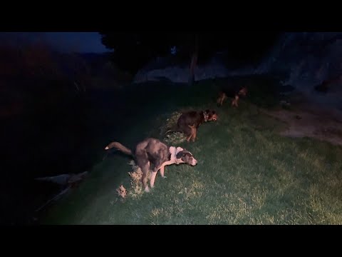 Видео: Стыковка и съёмка в темноте. Проверка на следующий день. А средняя подача даёт вам среднюю подачу?