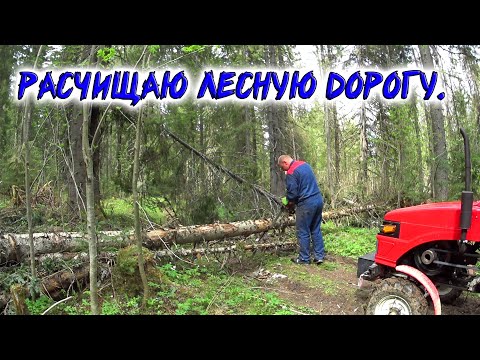Видео: Расчищаю лесную дорогу от валежника