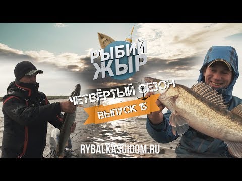 Видео: Рыбалка 2017 на Волгоградском водохранилище. Рыбий жЫр 4 сезон выпуск 15