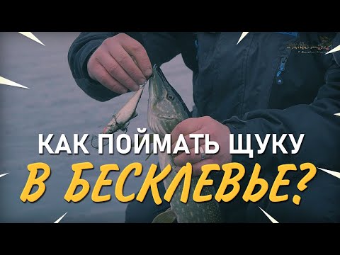 Видео: Как поймать щуку в бесклевье. Практика ловли с Валерием Сикиржицким. Выпуск 47