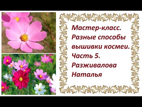 Видео: МК. Разные способы вышивки космеи. Часть 5. Цветок боком и бутон. Чашелистики.