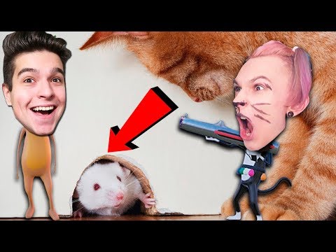 Видео: НИКОГДА НЕ ДОВЕРЯЙ 🐱 КОШКАМ! (Ratty Catty)
