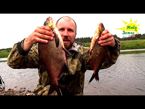 Видео: ОСНАСТКА КОТОРАЯ ЛОВИТ НА ТЕЧЕНИИ. ДОНКИ, ФИДЕР, ЗАКИДУШКИ, КОРМАКИ.