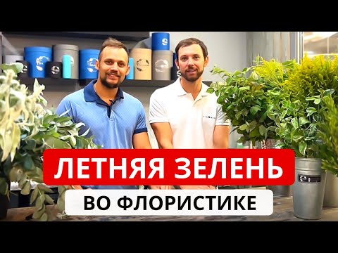 Видео: ЛЕТНЯЯ ЗЕЛЕНЬ во флористике. Обзор зелени. Зелень для букетов. Виды зелени, стоимость, особенности.
