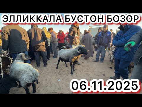 Видео: 6 ноября 2025 г.