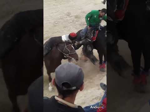 Видео: Бузкаши Дар  Шахри Панҷакент 5 10  2024