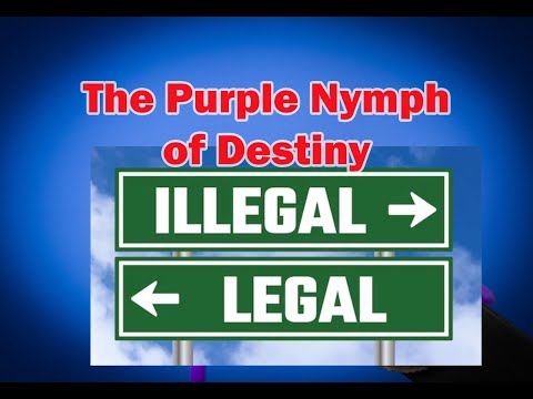 Видео: Муха, которая изменила речную рыбалку в том виде, в котором мы ее знаем!