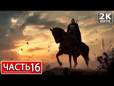 Видео: THE WITCHER 3: WILD HUNT Полное Прохождение Часть 16 ВЕДЬМАК 3 ДИКАЯ ОХОТА #shorts
