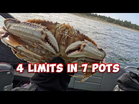 Видео: Невероятный лов крабов в устье реки Колумбия – пир из 48 крабов