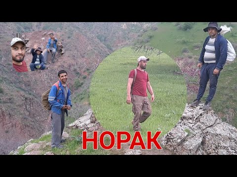 Видео: СУРХ ДАРА ДАР НОРАК 23.04.2024.