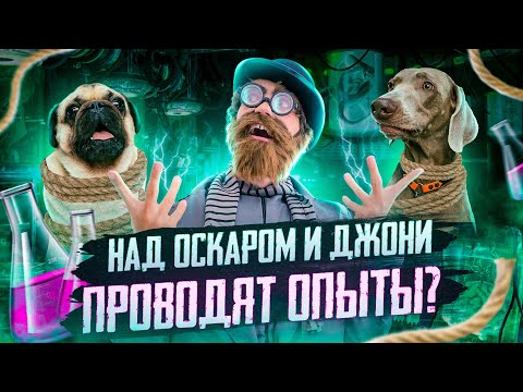 Видео: НАД ОСКАРОМ И ДЖОНИ ПРОВОДЯТ ОПЫТЫ?😰