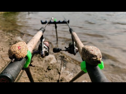 Видео: ИЮЛЬСКИЙ КАРАСЬ. РЫБАЛКА НА ФЛЭТ ФИДЕР!  КАРАСЬ НА ПУФИК,  ЛОВЛЯ КАРАСЯ НА ПУФЫ. ФЛЭТ ФИДЕР 2024
