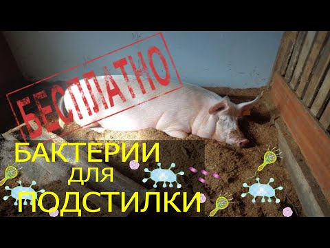 Видео: ФЕРМЕНТАЦИОННАЯ ПОДСТИЛКА БЕСПЛАТНО. Как не платить за бактерии?
