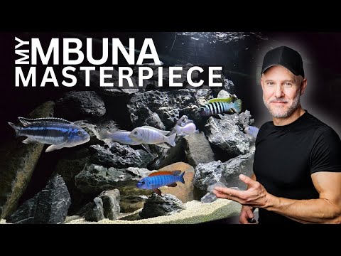 Видео: ИДЕАЛЬНЫЙ ДИЗАЙН для моего 75-галлонного бака Mbuna