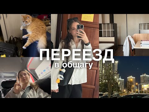 Видео: переезд в общежитие 