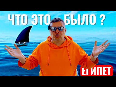 Видео: Заметили акулу в Красном море! Египет 2025. Хургада 2025. Бюджетный отдых в Египте 2025.