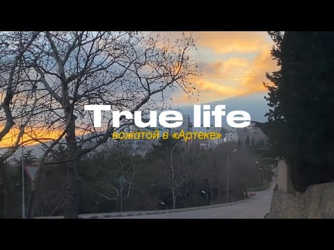 Видео: Вожатая в «АРТЕКЕ» | вышла замуж, встретили Новый год, время прощаться