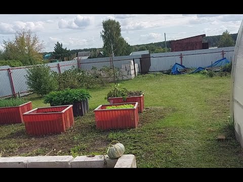 Видео: Утилизация Дендробены на даче.
