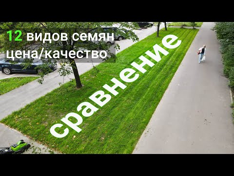 Видео: Семена газонной травы, какие выбрать? Тест, сравнение популярных травосмесей, результат спустя месяц