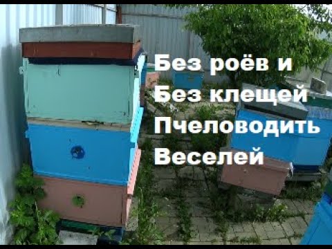 Видео: Пчеловодство без роёв. Метод : Всё включено ! Часть 1.