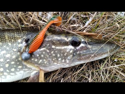 Видео: Рыбалка в предзимье на красивой реке. Ловля на спиннинг в ноябре. Щука на джиг.