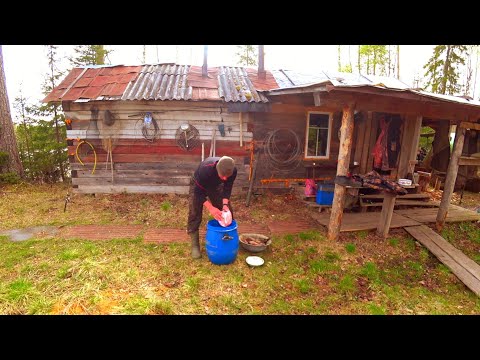 Видео: Живём Неделю в Лесу! Рыбачим на Сети на Таёжном Озере! Рыбалка в Новом Месте!