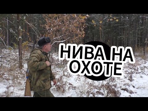 Видео: Нива на охоте