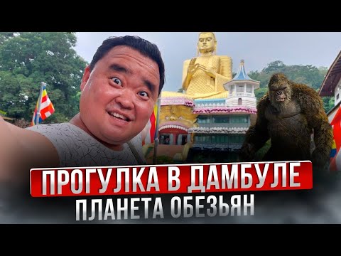 Видео: Что посмотреть в Дамбуле. Шри-Ланка. Обезьяний храм. English subtitles.