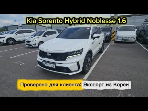 Видео: Kia Sorento Hybrid Noblesse 1.6 | Проверка пройдена для клиента | 2020 | 230 л.с.