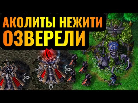 Видео: CasCraft: Самая АГРЕССИВНАЯ стратегия за Нежить в Warcraft 3 Reforged