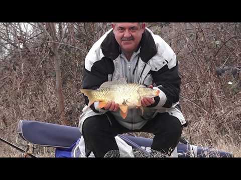 Видео: Шарани на плувка край Войводиново_www.digitalstudio.bg