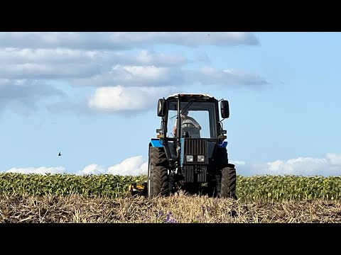 Видео: МТЗ-892 та дисковий лущильник General 2,6. Лущення стерні пшениці 🌾