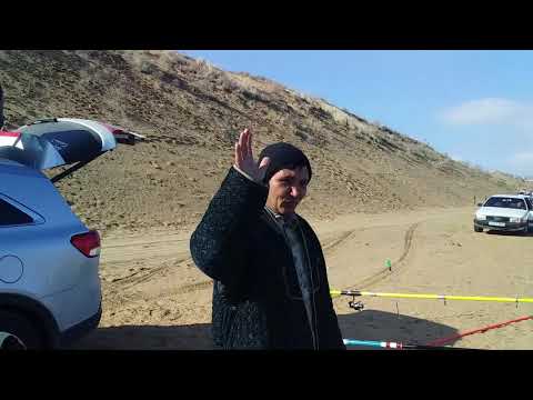 Видео: Ясная погода на Шардаре! 🌞👍