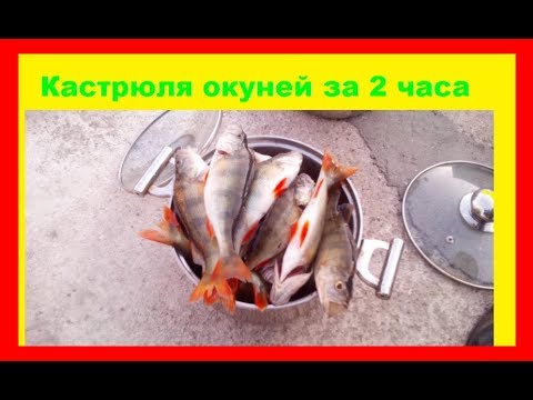Видео: Ловим окуней на экраны с берега. Супер клев!!!