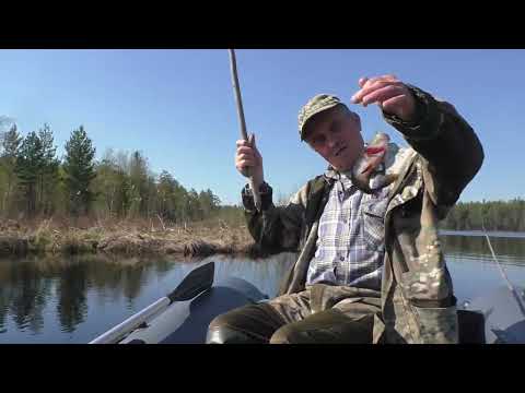 Видео: Рыбалка на лесном озере в Карелии!