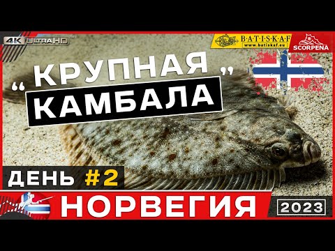 Видео: Крупная камбала на глубине на песках в Норвежском море.День 2.Подводная охота в Норвегии