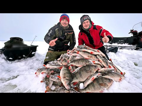 Видео: ЭТО ЗАКОННО? Наловили рыбы, АЖ ДУРНО! Учимся раскачивать лунку