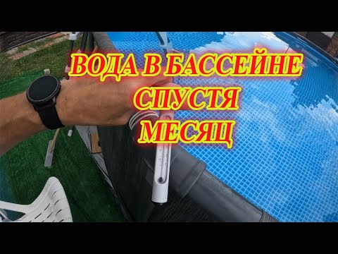 Видео: Бложик из деревни. Воде в бассейне уже месяц. Что стало.