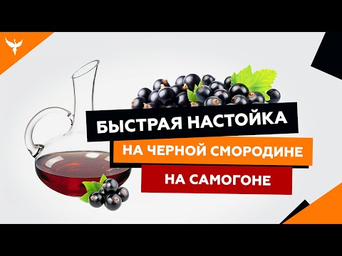 Видео: рДЖ 17 : Быстрая настойка на черной смородине на самогоне (водке)