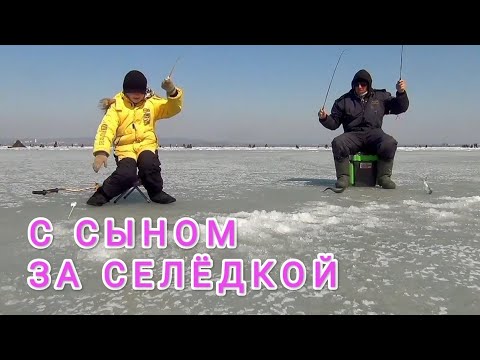 Видео: Угольная. Попал на раздачу селёдки. Ловля селёдки на блесна на махалки.