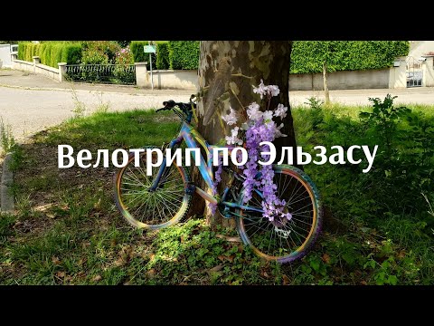 Видео: ПВД Велотрип по Эльзасу