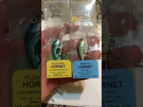 Видео: Воблеры salmo hornet 4,5,6, типы sinking(тонущий), floating (плавающий).