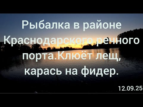 Видео: Вечерняя рыбалка на фидер.Клюёт лещ и карась.