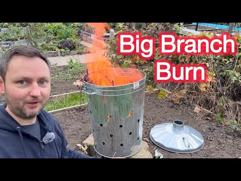 Видео: Эпизод 42 🌱 Уборка на участке | Костёр и сжигание веток