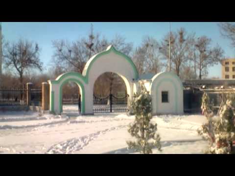 Видео: Падал НАВОИгодний снег (город Навои. Узбекистан)
