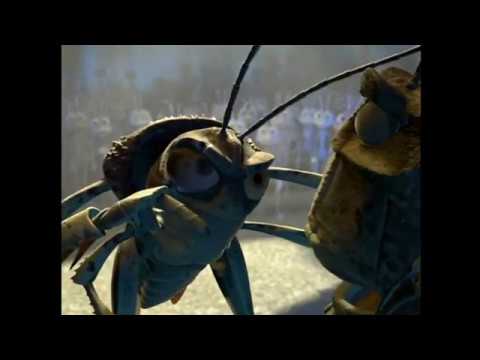 Видео: Жизнь жука, но это всего лишь линька