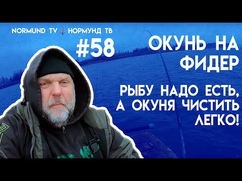 Видео: ловля окуня на фидер, рыбу надо есть, а окуня чистить не сложно, серия Но58